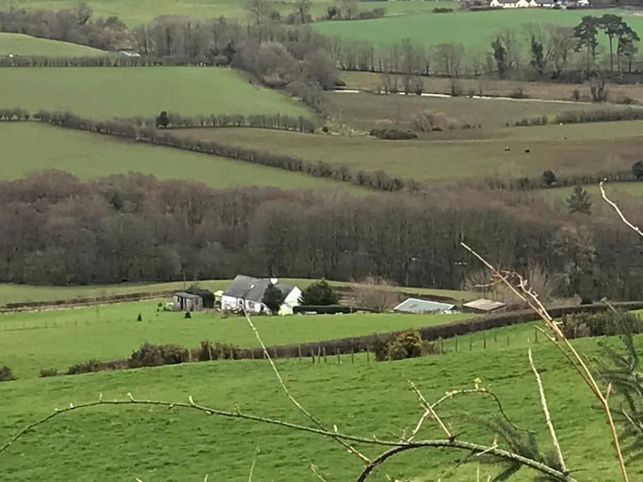 Stunning Shepherds Hut Rural Bliss 덤프리스 외부 사진