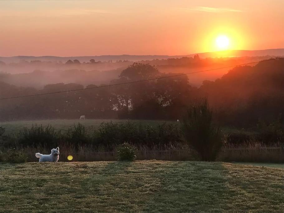 Stunning Shepherds Hut Rural Bliss 덤프리스 외부 사진